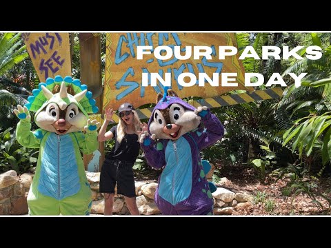 ALL FOUR DISNEY PARKS IN ONE DAY | One Snack, One Ride, One character