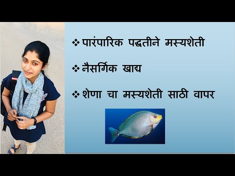 Traditional Fish Farming ..(पारंपारिक पद्धतीने मस्यशेती कशी केली जाते )?  ....