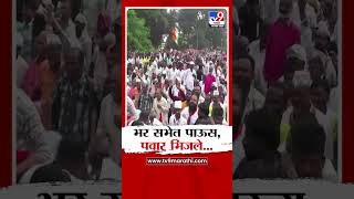 Ichalkaranji मधील सभेत पाऊस, Sharad Pawar भिजले | Vidhan Sabha