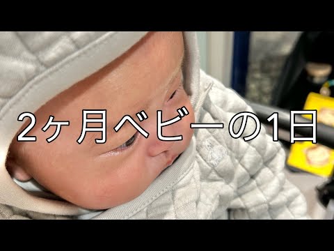 【Vlog】生後2ヶ月の赤ちゃんの1日