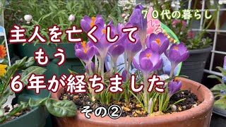 【シニアの暮らし】主人の闘病生活を振り返る/退院してからの事