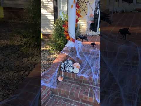 Get your porch ready for Halloween!