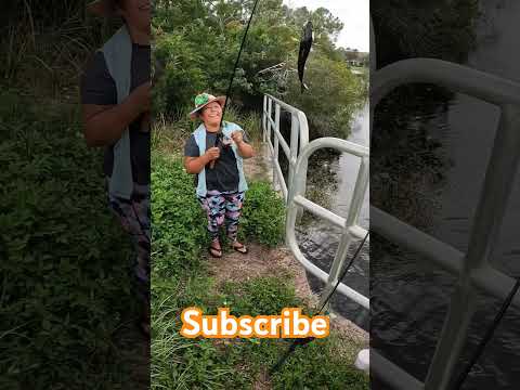 sub if you love fishing! #subscribe #fishing #outdoors #florida #largemouthbass #viral #trending