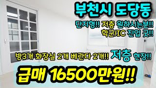 [부천빌라매매] NO.643 부천시 도당동 단지형 저층 방3개 화장실2개 베란다 2개 현장 학군 IC진입 굿 1억 중반대에 대형평수 사이즈 굿 주방 옆 베란다 급매 [도당동빌라]