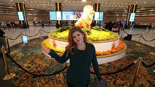 I Stayed in the Cheapest Room at MGM Grand in Las Vegas! 🦁