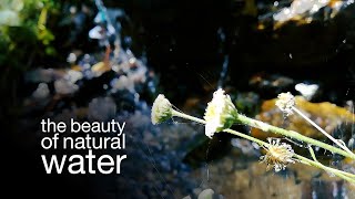 The Beauty of Natural Water | Roon Production | د طبیعت د اوبو ښکلا