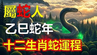 师傅详解2025蛇年运程：十二生肖蛇完整版！事业运、财运、人际关系、爱情、婚姻、健康全解析！