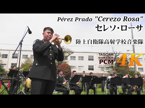 Pérez Prado "Cerezo Rosa" 🎺 Japanese Army Band