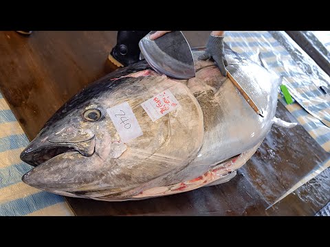 Cutting Show! 4 Luxurious Bluefin Tuna Dishes You've Never Tried / 頂級金三角拼盤, 黑鮪魚創意料理