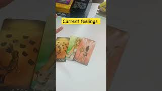 Current feelings #tarot #trending #feelingstarot #tarotreading #cardreading