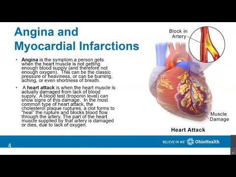 Anatomy and Physiology Part 2