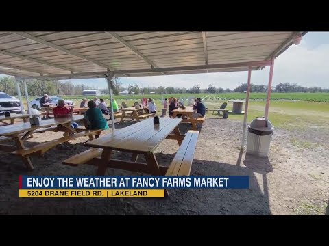 Enjoy the weather and strawberry treats at this local market | Gems of Tampa Bay