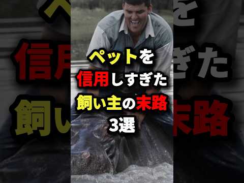 夜に見るな‼︎ ペットを信用し過ぎた飼い主の末路3選