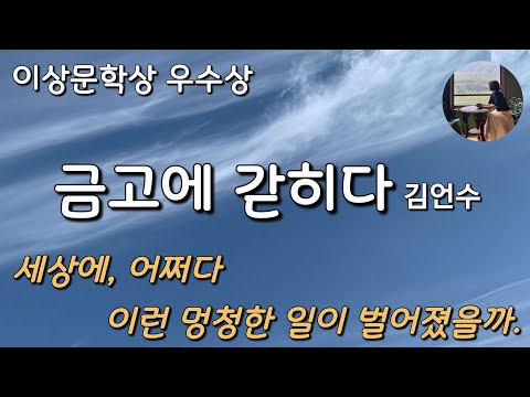 [금고에 갇히다_김언수] 세상에, 어쩌다 이런 멍청한 일이 벌어졌을까.