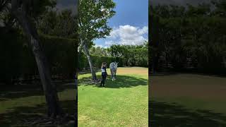 Under the Tree: Resting with a White Horse #HorseRelaxing #EquestrianCalm #WellingtonStable