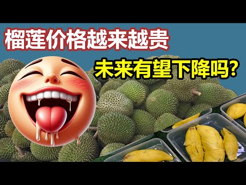 榴莲丰收，价格却没降？揭秘榴莲价格背后的真相！