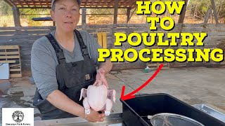 Pastured Poultry Processing - The Easy Way To Process and Butcher Chicken