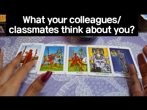 what your colleagues or classmates think about you? #tarot #tarotreading #careerreading