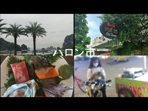 【ベトナムハロン】46歳おっさんひとり旅。運賃がよくわからない。ローカルバスはあるけどGooglemapに表示されず。新し出会いは刺激的！？