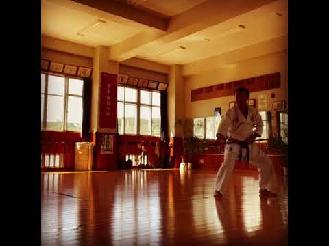 Sakugawa Dai practice 佐久川大稽古中 #karate #okinawa #空手 #沖縄 #信武舘 #古武道 #shimbukan #kobudo