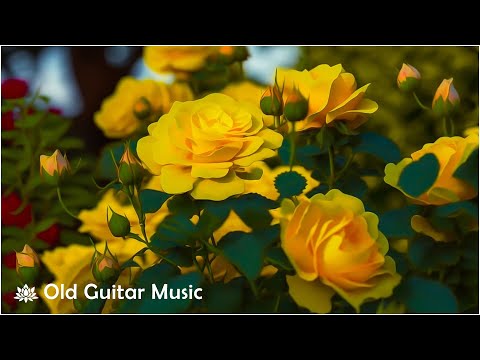 Enjoy Soothing Relaxing Music - The Best Relaxing Acoustic Guitar Playlist