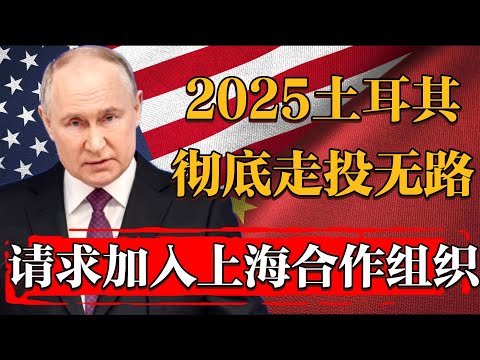 2025土耳其走投無路！竟向中俄請求加入上海合作組織！#纪实 #时间 #經濟 #窦文涛 #历史 #圆桌派  #文化 #聊天 #川普 #中美关系 #推薦 #熱門