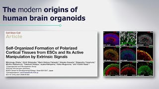 Rescuing Phenotypes in PTHS-Derived Brain Organoids with Alysson Muotri