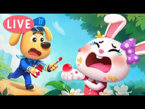 🔴LIVE | Don't Touch Wild Plants | Boo Boo Story | Safety Cartoon | Sheriff Labrador | BabyBus TV