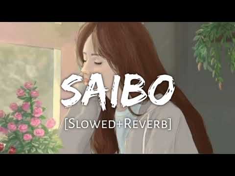 Saibo (Slowed & Reverb) || Lofi Vibes|| Copyright free song ||