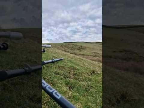 100 Yard Rabbit Head Shot With CZ455 .22LR 40Grain Subsonics