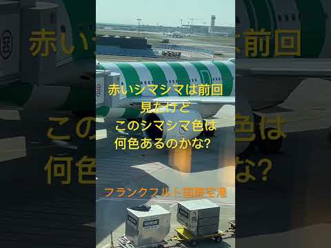 このシマシマ色は何色あるのかな？　コンドル航空