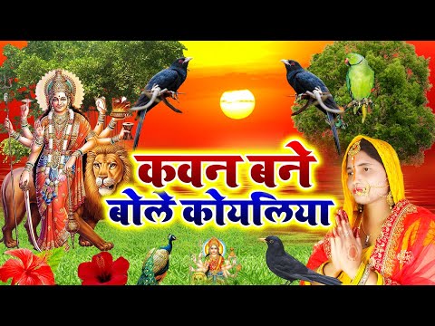 Live - कवना बने बोले कोयलिया |#DeviPachra | Kawna Bane Bole Koyaliya |#BhaktiGaana #sunita lokgeet