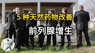 五种天然药物，减缓良性前列腺增生（BPH）| 改善尿流速 | 减少夜尿次数 | 缓解尿频 | Benign Prostatic Hyperplasia Natural Remedy