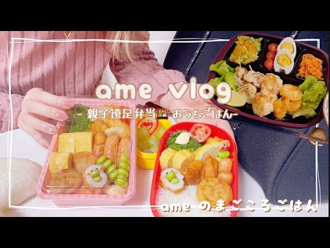 【主婦vlog】春の親子遠足弁当🍱おうちごはん2日分/まとめ買い/続く体調不良、、😷 パート主婦 【日常vlog/主婦の1日/料理/cooking】