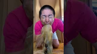 Sagawa1gou funny video 😂😂😂 | SAGAWA Best TikTok 2024 #shorts