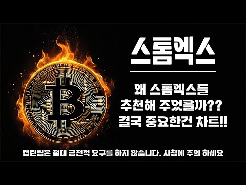 스톰엑스 코인 전망 ㅣ 캡틴팀 소통방 추천종목 스톰엑스 지난주 단, 2종목 추천해드렸고 적중했습니다.