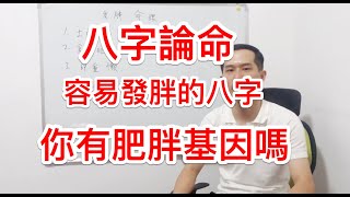 八字論命｜容易發胖的八字命理