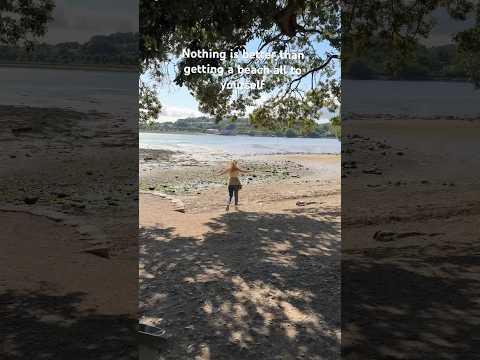 Best feeling, beach all to yourself #introvertsbelike #beach #relatable #shorts