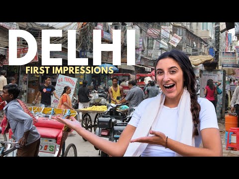 The CRAZY streets of Delhi | Our FIRST day in India