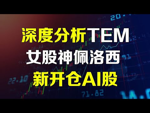 美股深度分析 女股神佩洛西新开仓一只AI股 TEM