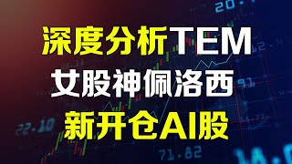 美股深度分析 女股神佩洛西新开仓一只AI股 TEM