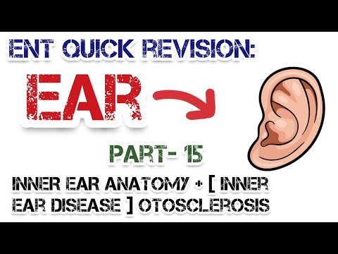 Understanding Inner Ear Anatomy and Otosclerosis | Dr. Deen Lectures