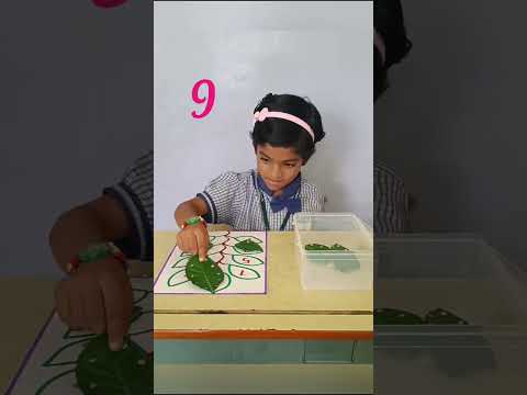 VEVEAHAM PRIME ACADEMY _ MATH ACTIVITY