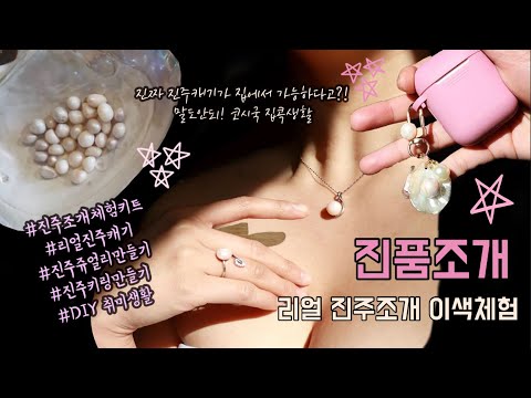 진품조개 진주조개키트 DIY/이색체험/진주조개 집콕취미생활 즐기기 진주 악세사리KIT