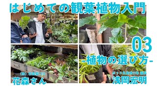 【観葉植物ビギナー】大事なのは○○○！プロが教える植物選びのワンポイント