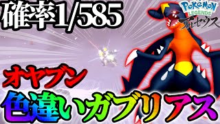 【奇跡】約20時間でオヤブン色違いガブリアス捕まえました!!【レジェンズアルセウス】