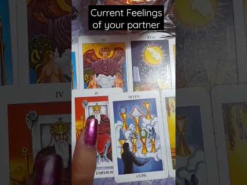 Current feelings of your partner. #tarotreading #tarot #currentenergyofpartner