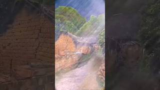 🌧Heavy Rainfall and strong wind in rural areas | #nature #heavyrain #rainfall #thunderstorm #shorts