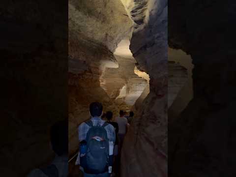 Cave Under A Theme Park #rollercoaster #themepark #coaster #cave #travel #ride #branson #traveling