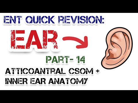 Atticoantral CSOM Explained: Causes, Symptoms, and Inner Ear Connections